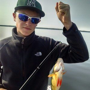 Meet your Posher, Nathan