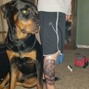 Meet your Posher, Tyler