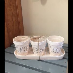 Rae Dunn Plant Grow Bloom