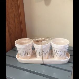 Rae Dunn Plant Grow Bloom