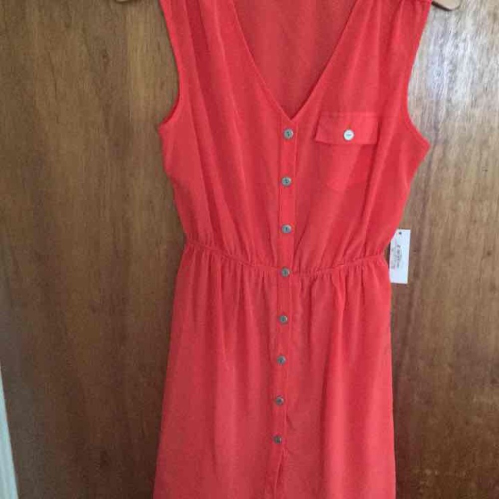 NWT Charming Charlie's Dress