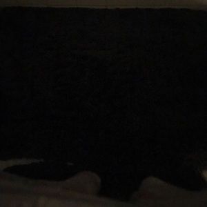 Meet your Posher, Mina