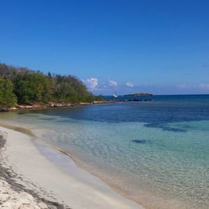 Meet your Posher, Josh