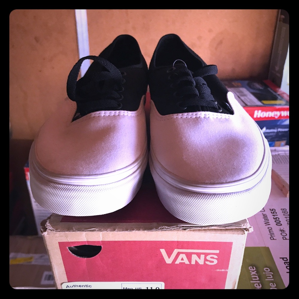 Vans authentic