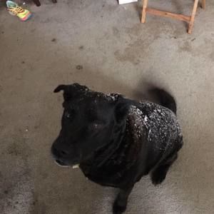 Meet your Posher, Jacob