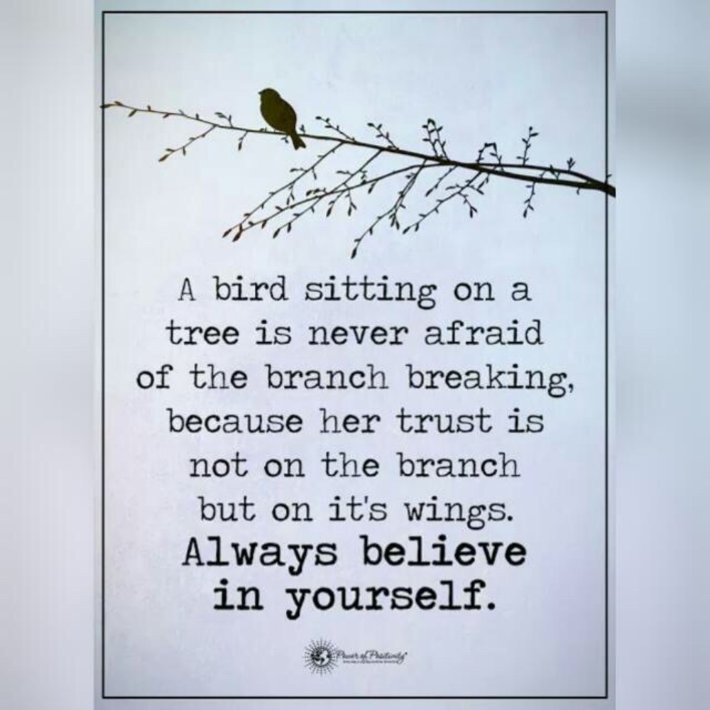 Meet your Posher, Maya