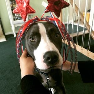 Meet your Posher, Jenny