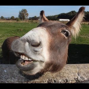 Meet your Posher, Sean