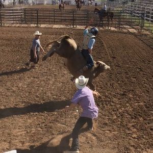 Meet your Posher, Dalton