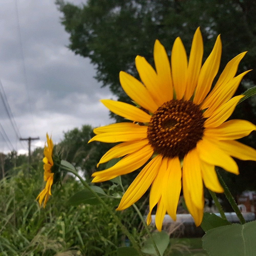 Meet your Posher, Raelynn