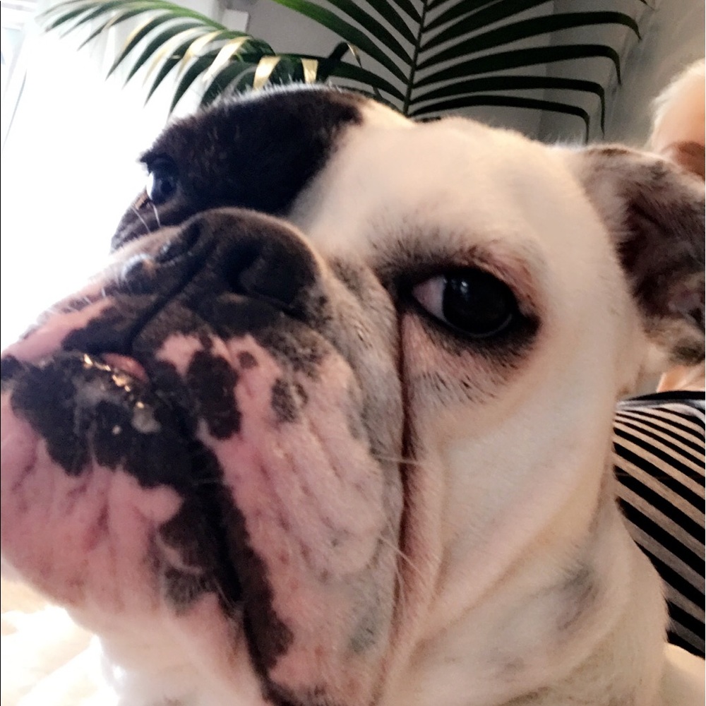 Meet your Posher, Keelie