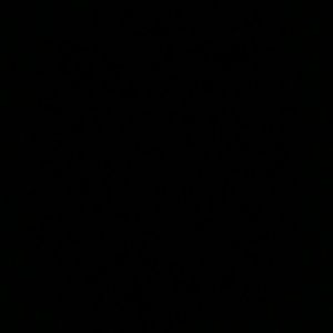 Meet your Posher, Princess