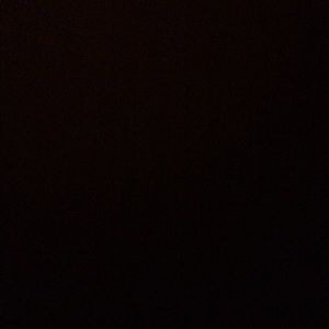 Meet your Posher, Damon