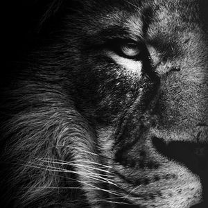 Meet your Posher, Dre