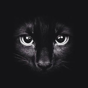 Meet your Posher, Ope