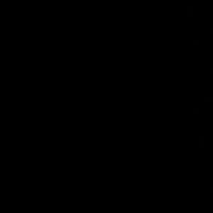 Meet your Posher, Darlene