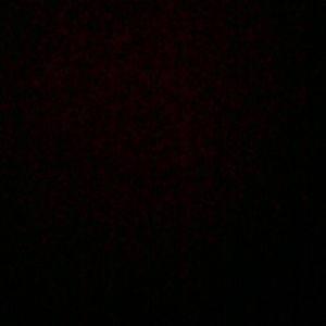 Meet your Posher, Henry