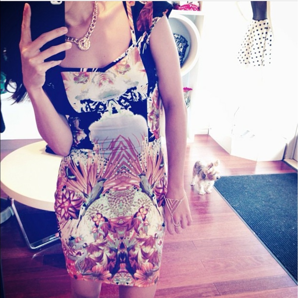 McQueen Inspired Dress