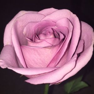 Meet your Posher, Mushtary