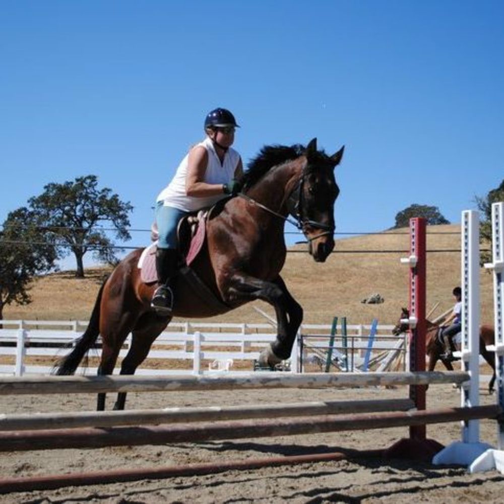 Meet your Posher, Marguerite