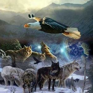 Meet your Posher, Janet