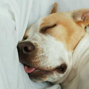 Meet your Posher, Ebony