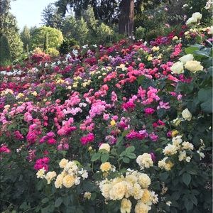 Meet your Posher, Yuka