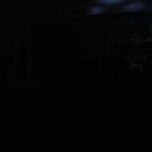 Meet your Posher, Carly