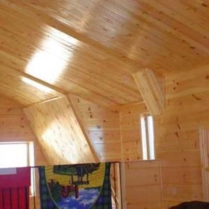 Meet your Posher, Bird