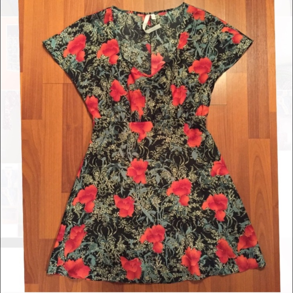UO silk rose dress