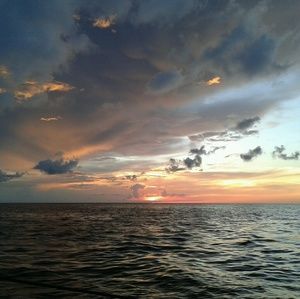 Meet your Posher, Giamarie