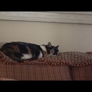 Meet your Posher, Gloria