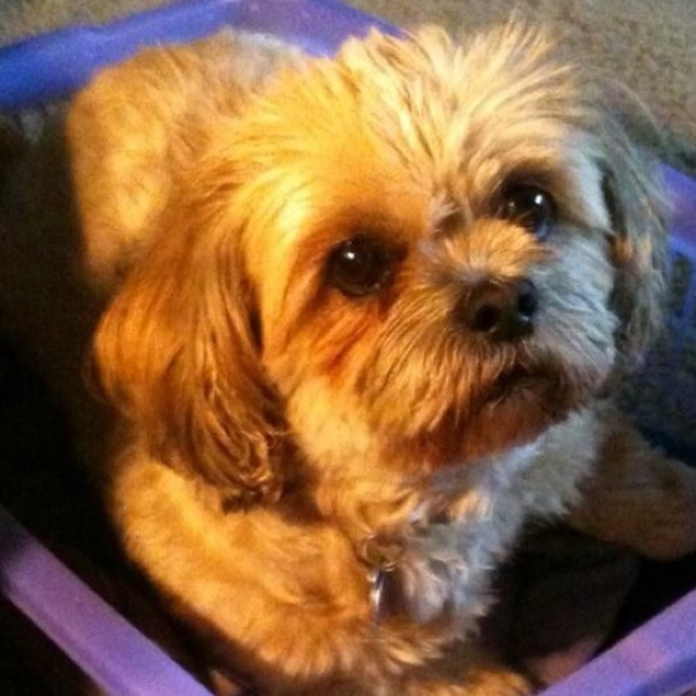 Meet your Posher, Kelly