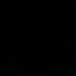 Meet your Posher, Ricardo