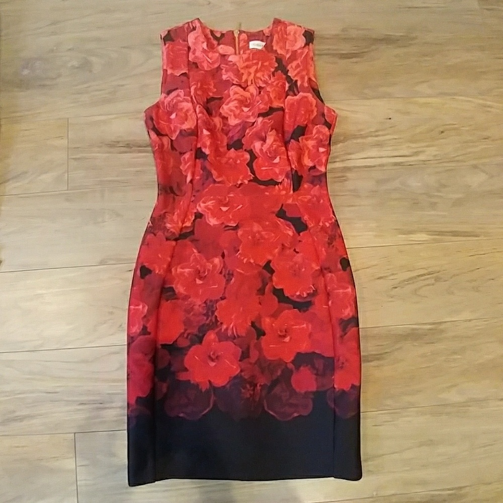 Calvin Klein dress