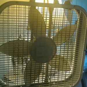 Meet your Posher, Sheila