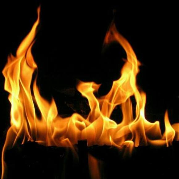 Meet your Posher, Brandon - Picture 1 of 1