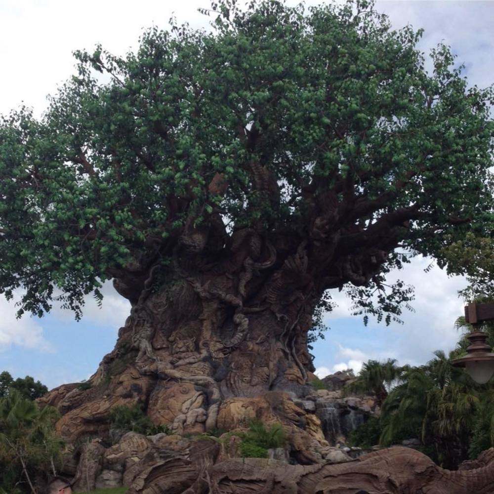 Meet your Posher, Kriszta