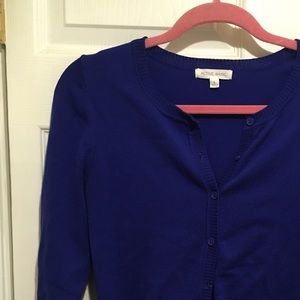Royal Blue Cardi