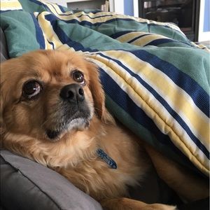 Meet your Posher, Joy