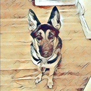 Meet your Posher, Ryan