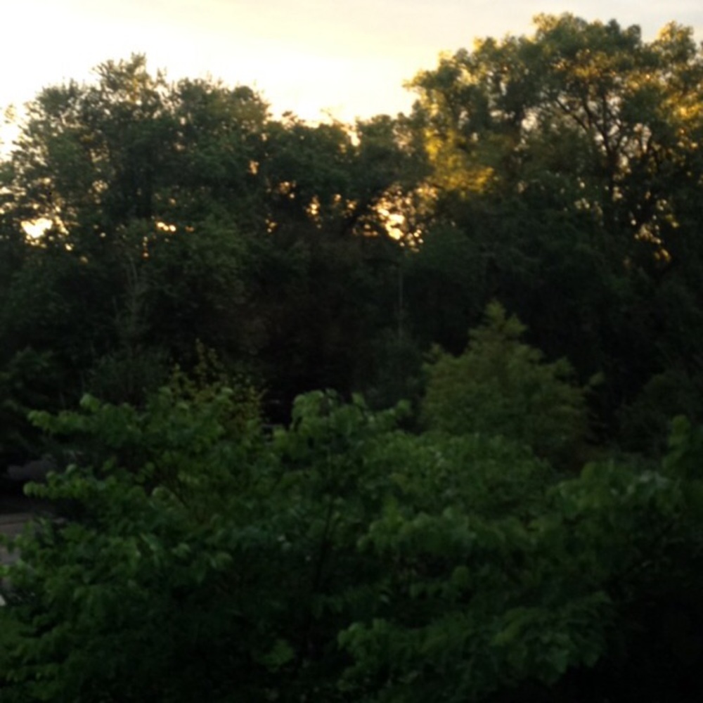 Meet your Posher, An