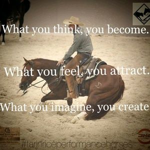 Meet your Posher, Jodi