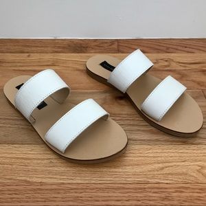 Steven Slides