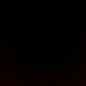 Meet your Posher, Bridgett