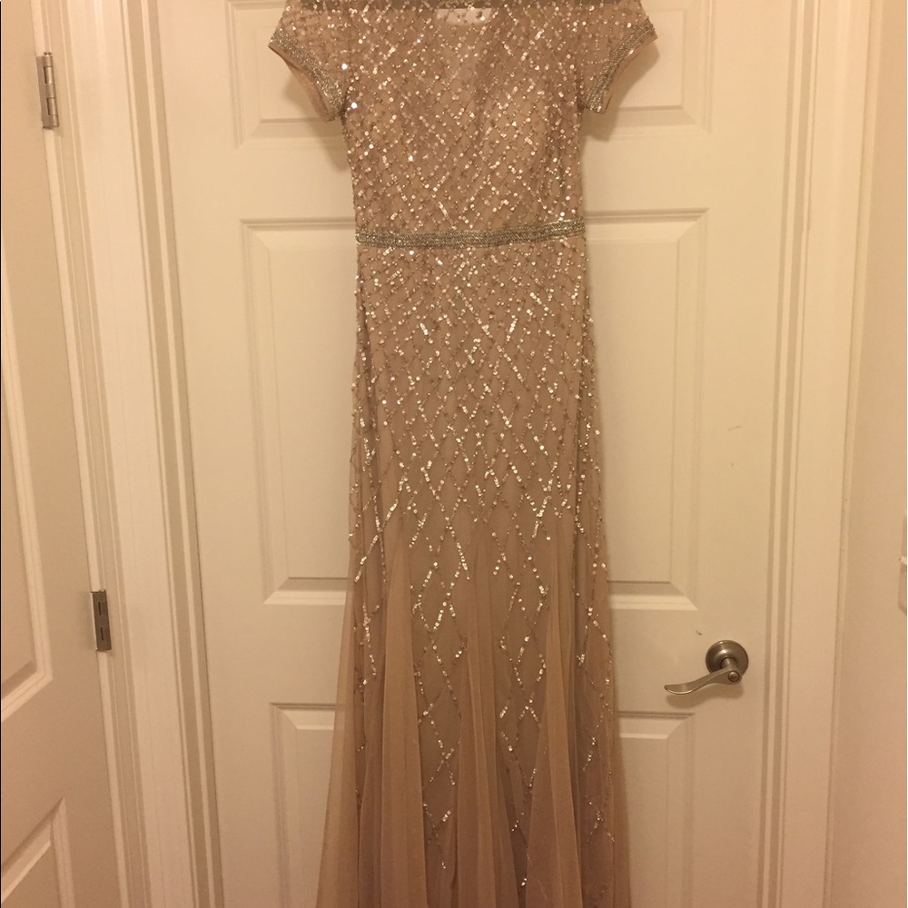 Adrianna Pappell Beaded Mesh Gown - Size 2 Petite
