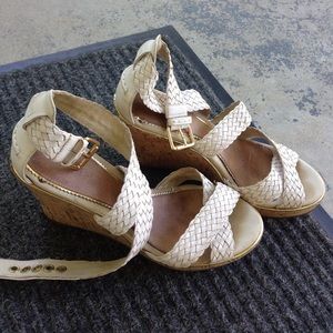 Sperry wedges