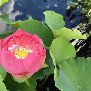 Meet your Posher, Zhou