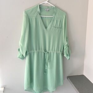Naked Zebra, mint green shirt dress