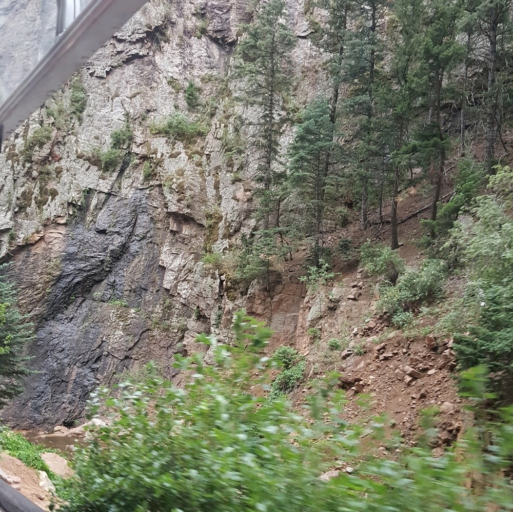 Meet your Posher, Caroline